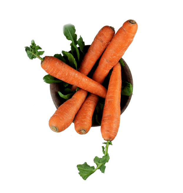 2e71aa00-carrot-2.png