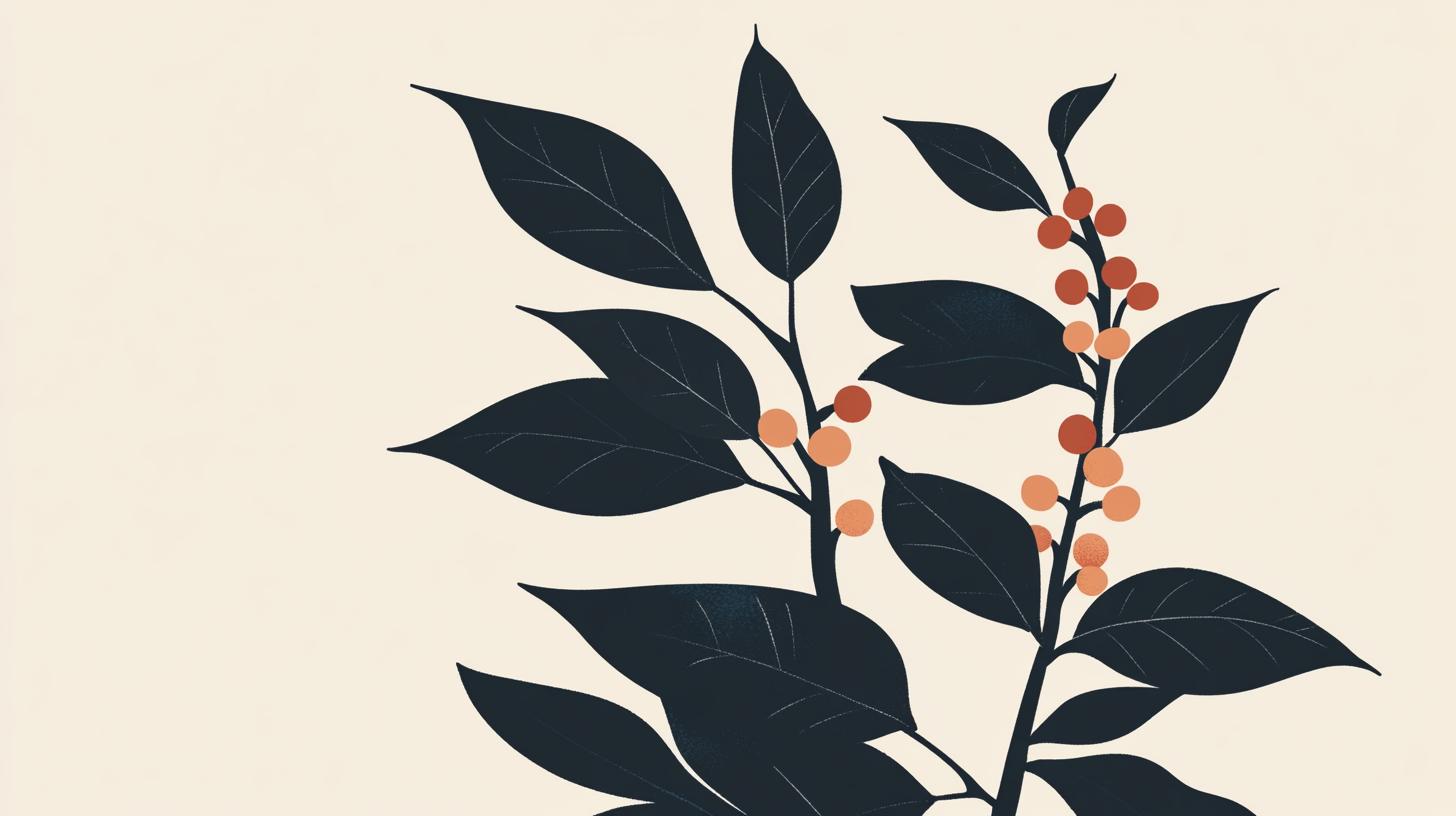 computer641_minimalistic_illustration_of_coffee_beans_–ar_169__24893fb9-4524-43d6-814c-3161fb979bce