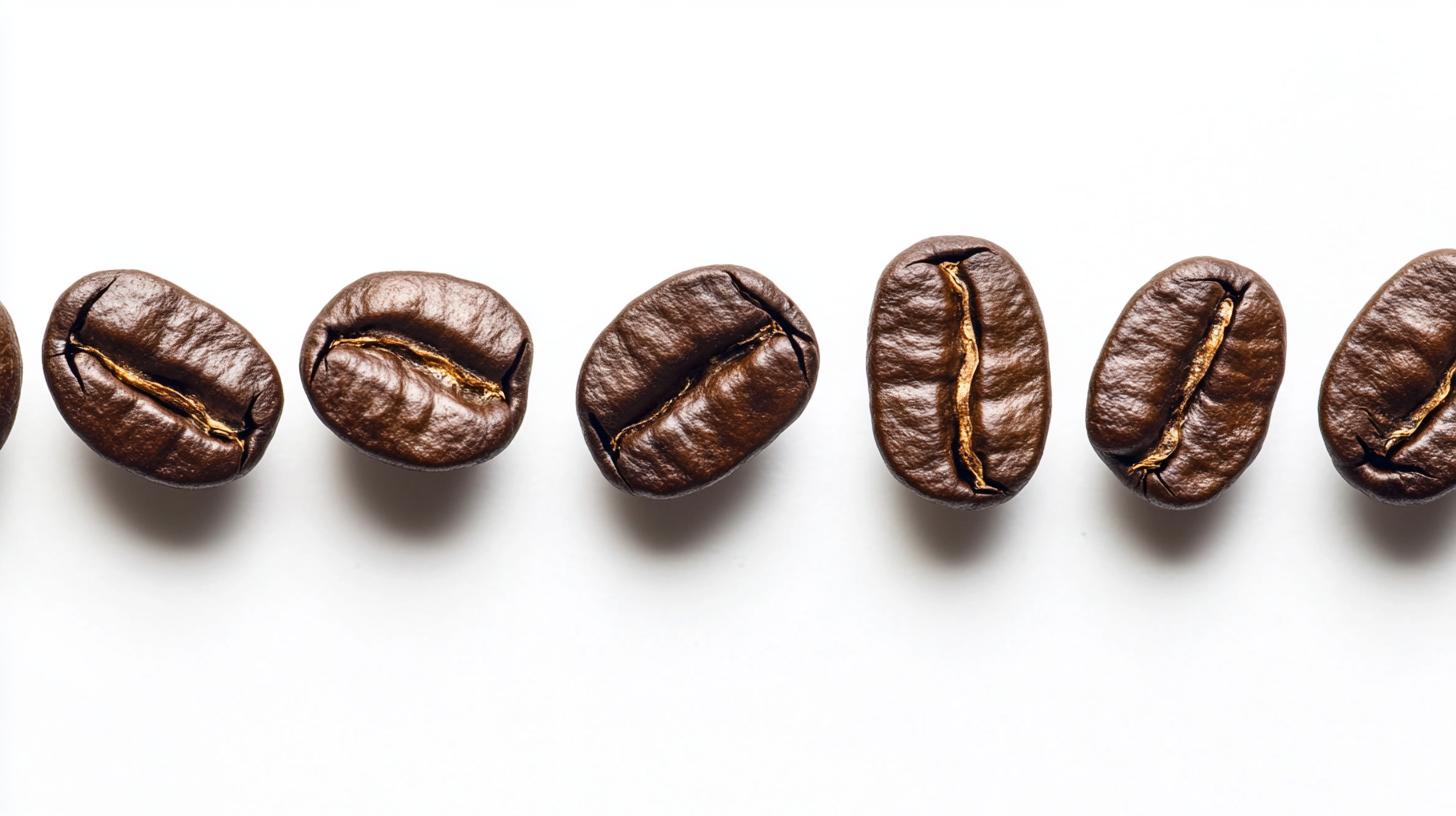 computer641_single_line_of_coffee_beans_white_background_–ar_1_fa3036c5-aa78-46c2-b72e-b1d763d44438