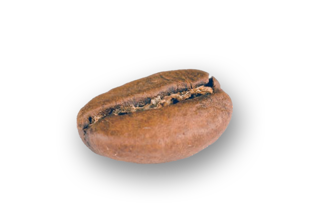 grano_de_cafe